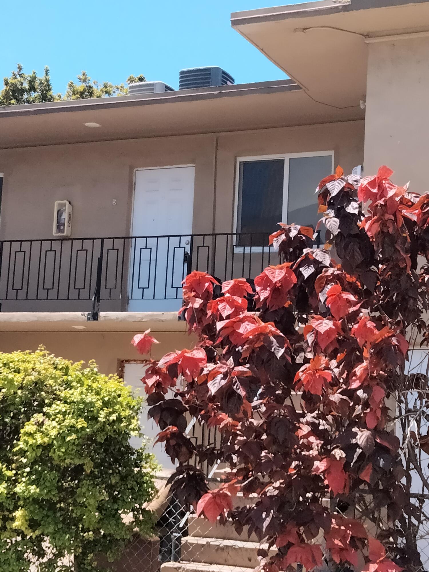 460 Southwest 7th Street Miami, FL 33130 - Photo 13 of 13 IMG20260417130603