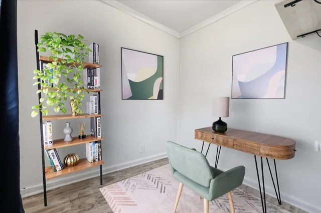 a living room with furniture and a potted plant