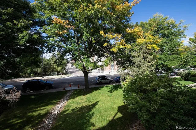 a view of backyard with swimming pool