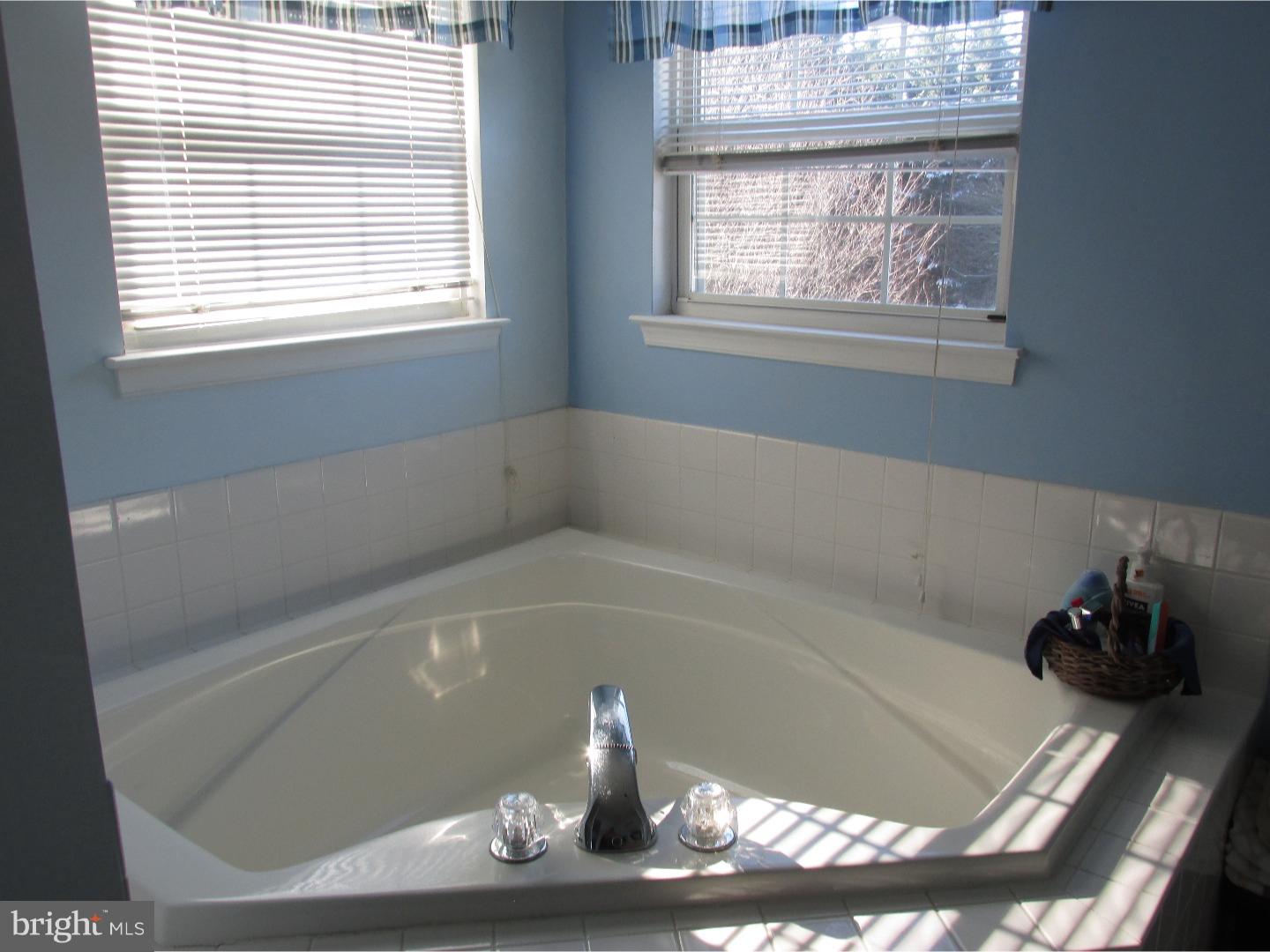 320 Canvasback Road Middletown, DE 19709 - Photo 15 of 25 Master Bathroom