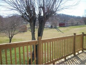 600 White Top Road Bluff City, TN 37618 - Photo 3 of 8 Back Deck
