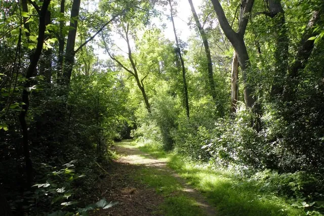 $597,000 | 8043 Galway Road, Woodbury, MN 55125