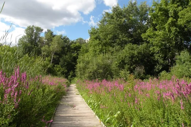 $597,000 | 8043 Galway Road, Woodbury, MN 55125