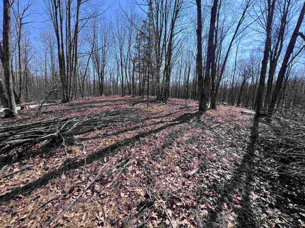 $29,900 | Rhett Lane, Unit 20, Wausaukee, WI 54177