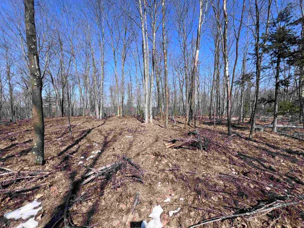 $29,900 | Rhett Lane, Unit 20, Wausaukee, WI 54177