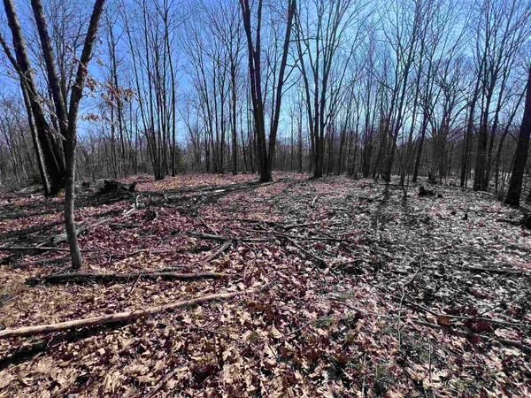 $29,900 | Rhett Lane, Unit 20, Wausaukee, WI 54177