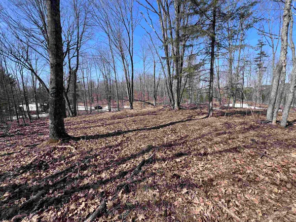 $29,900 | Rhett Lane, Unit 20, Wausaukee, WI 54177