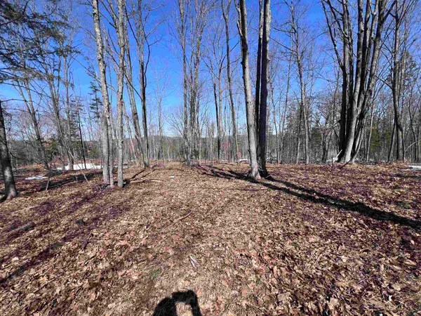 $29,900 | Rhett Lane, Unit 20, Wausaukee, WI 54177