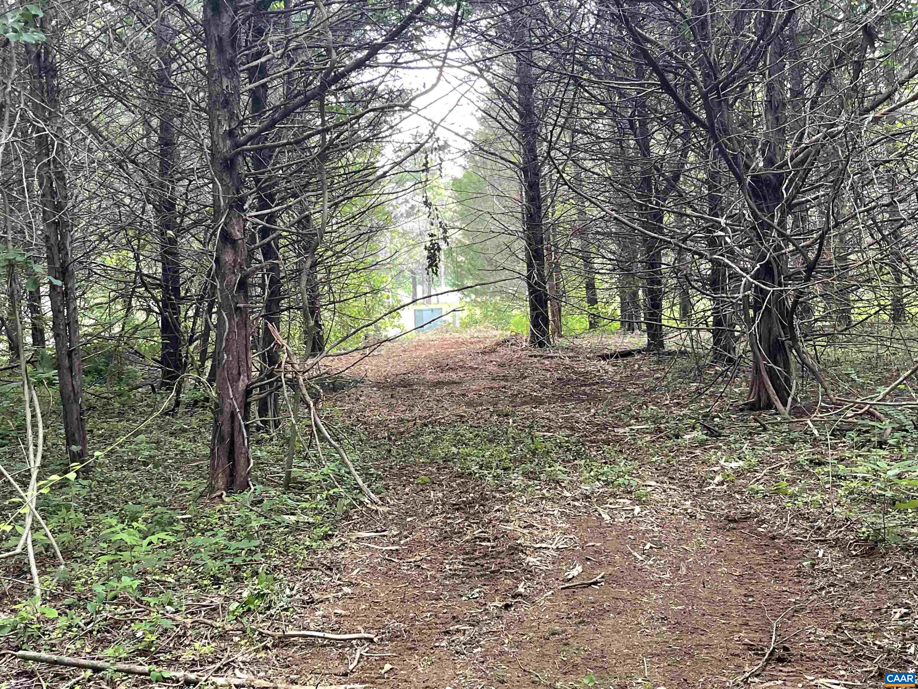 160 Hunters Point Nellysford, VA 22958 - Photo 10 of 17 Paths