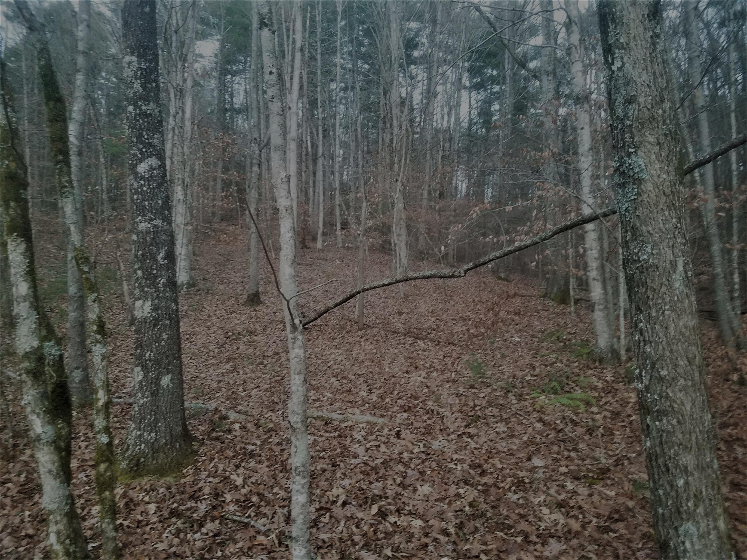 Tbd Knob Park Road Bristol, TN 37620 - Photo 5 of 5 TBD Knob Park Road, Bristol, TN