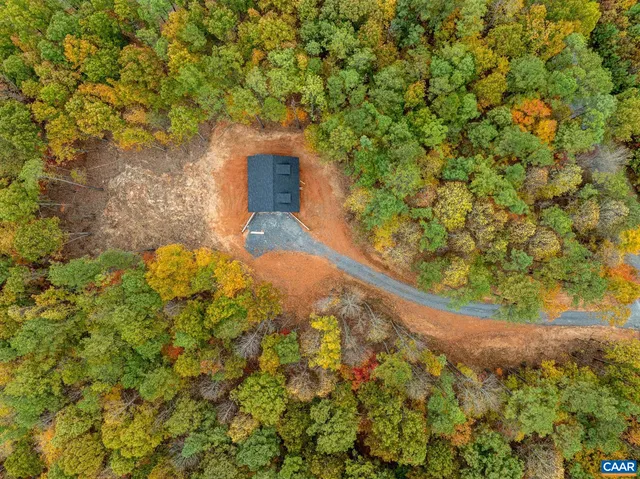 a view of a yard with plants