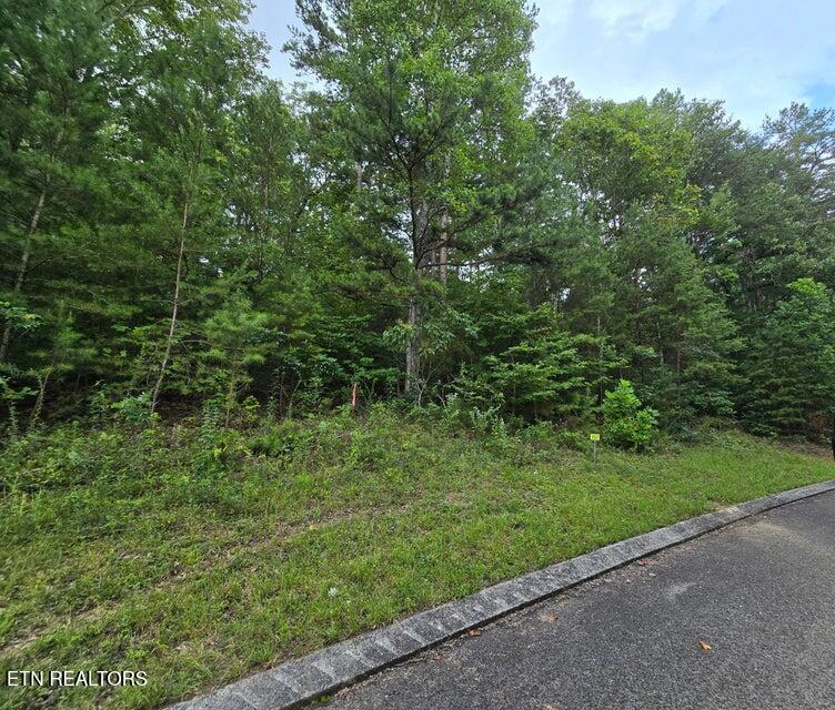 157 Lot Road Dunlap, TN 37327 - Photo 1 of 4 1