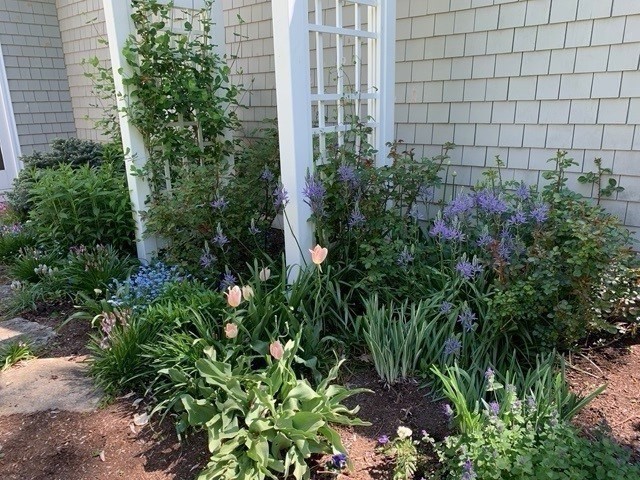 59 Claypit Hill Road Wayland, MA 01778 - Photo 39 of 42 Gallery Image 39