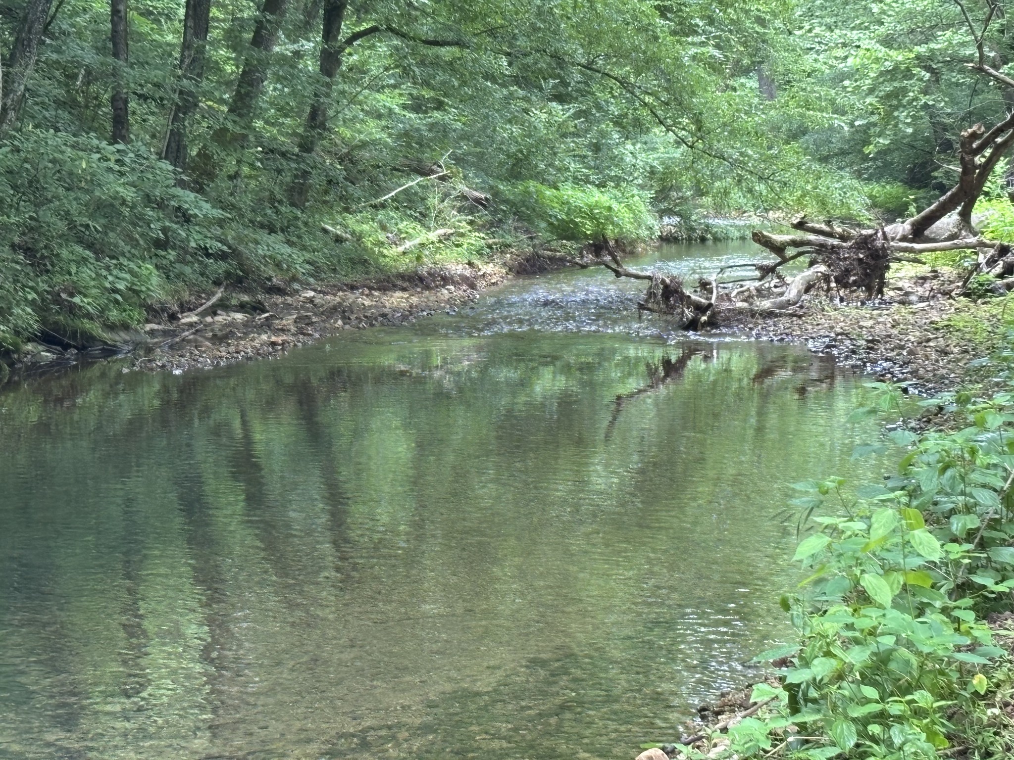 502 Twomey Road Centerville, TN 37033 - Photo 2 of 42 a view of a lake with houses
