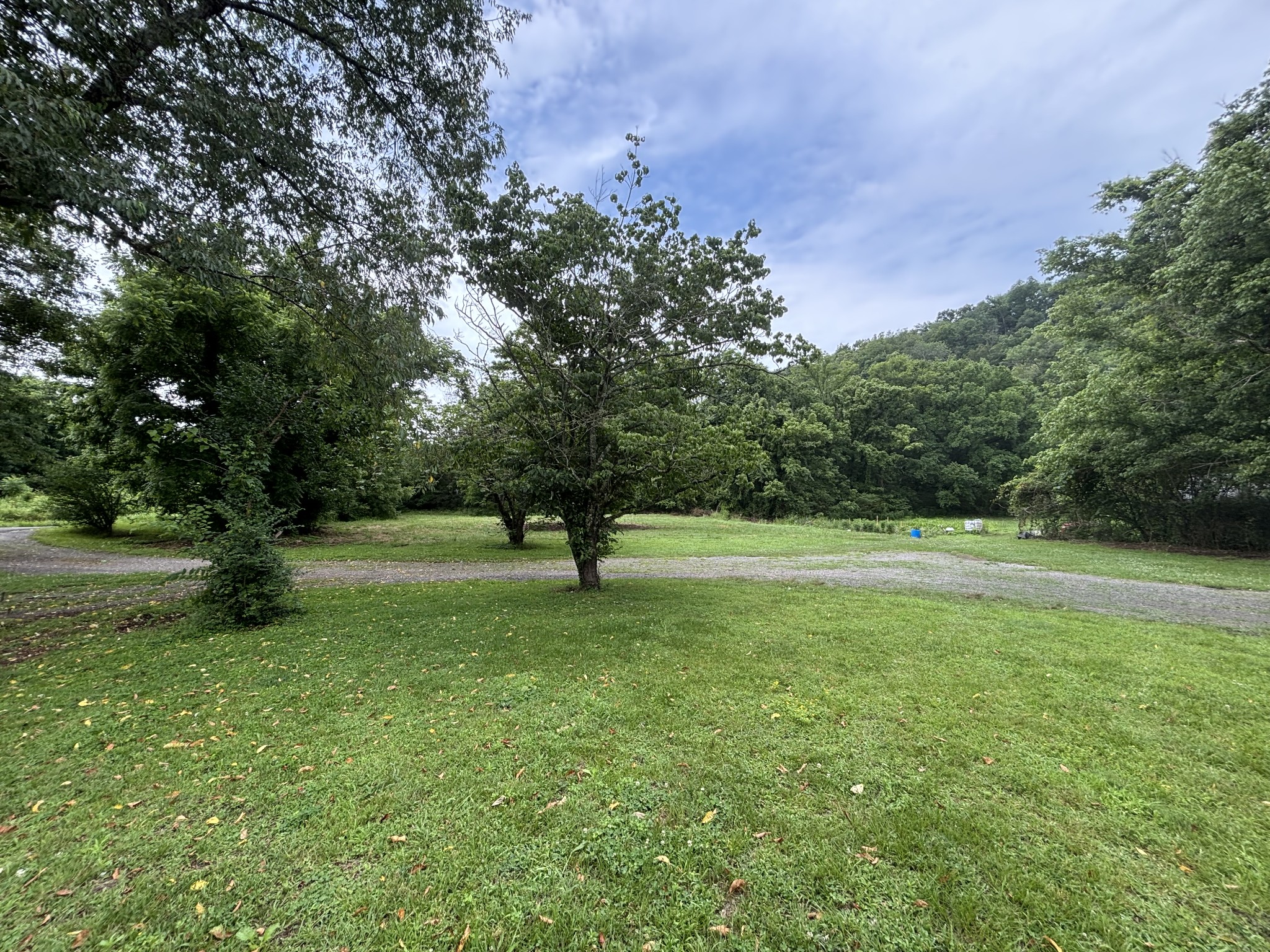 502 Twomey Road Centerville, TN 37033 - Photo 28 of 42 a view of a trees with a yard