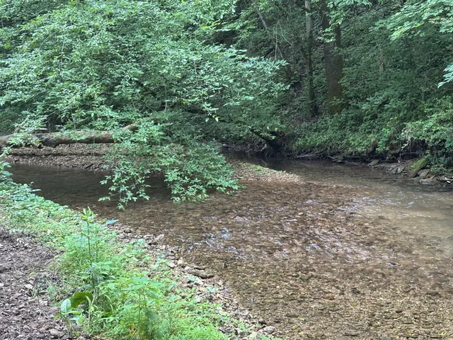 a view of a lake with lots of green space
