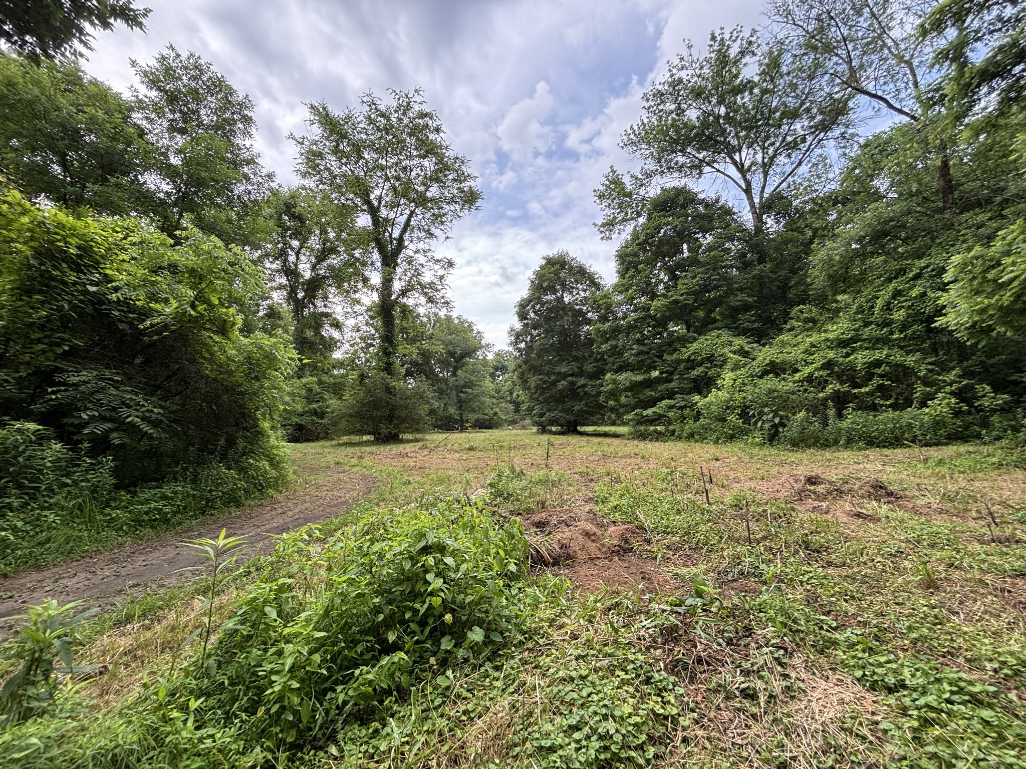 502 Twomey Road Centerville, TN 37033 - Photo 32 of 42 a view of outdoor space and yard