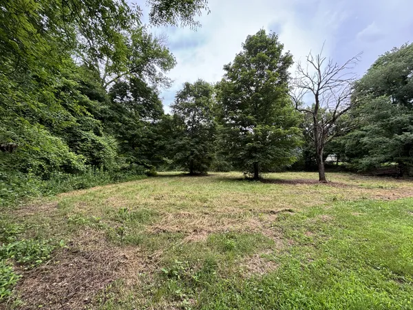 a view of outdoor space with yard