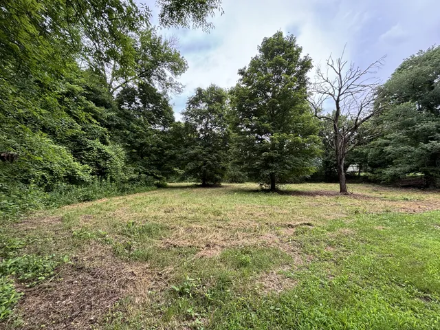 a view of outdoor space with yard