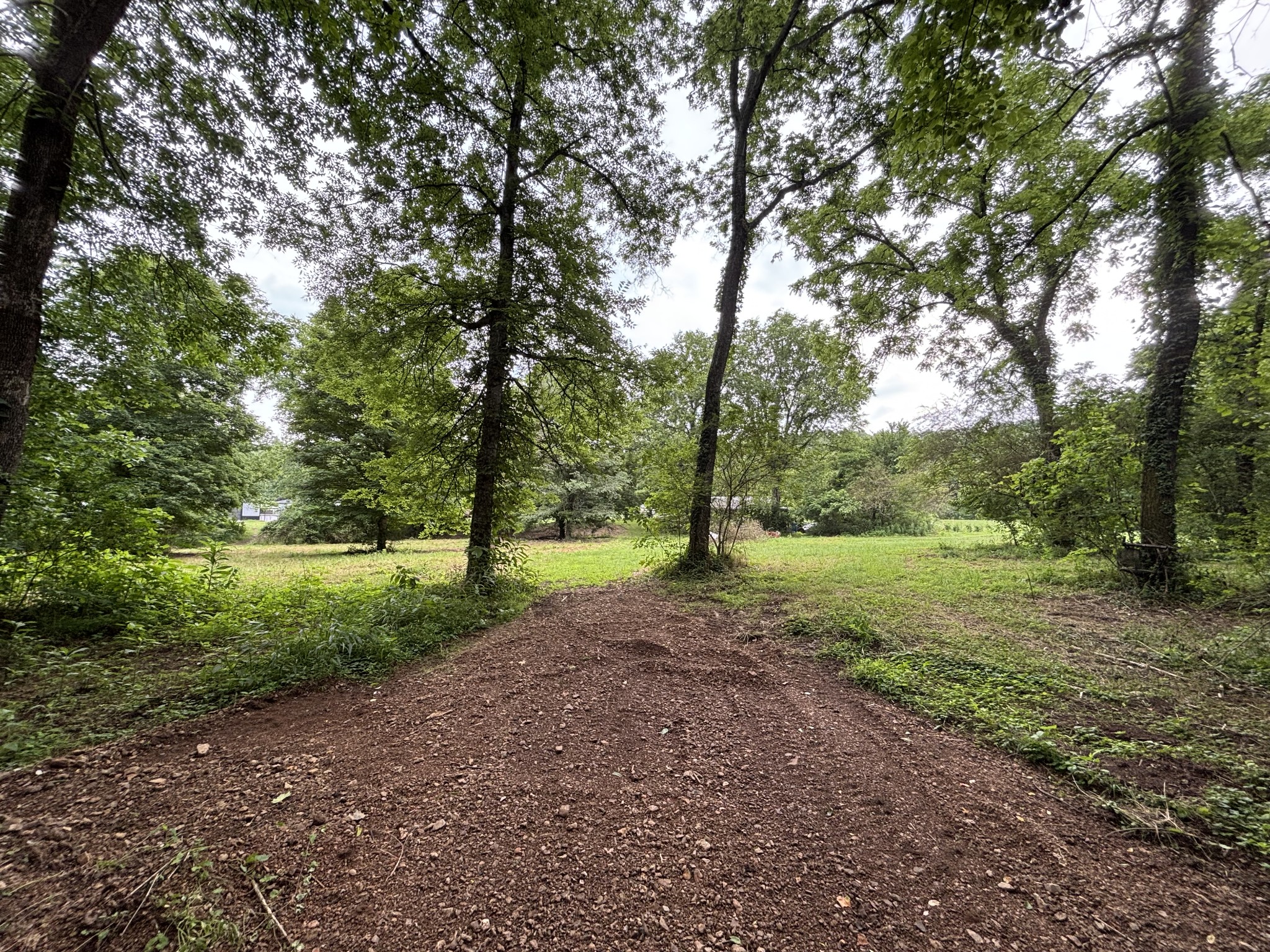 502 Twomey Road Centerville, TN 37033 - Photo 36 of 42 a view of outdoor space with trees