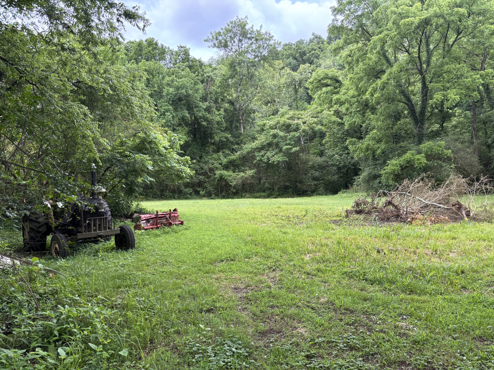 502 Twomey Road Centerville, TN 37033 - Photo 38 of 42 a view of garden with trees