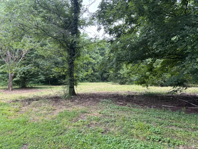 a view of backyard with green space