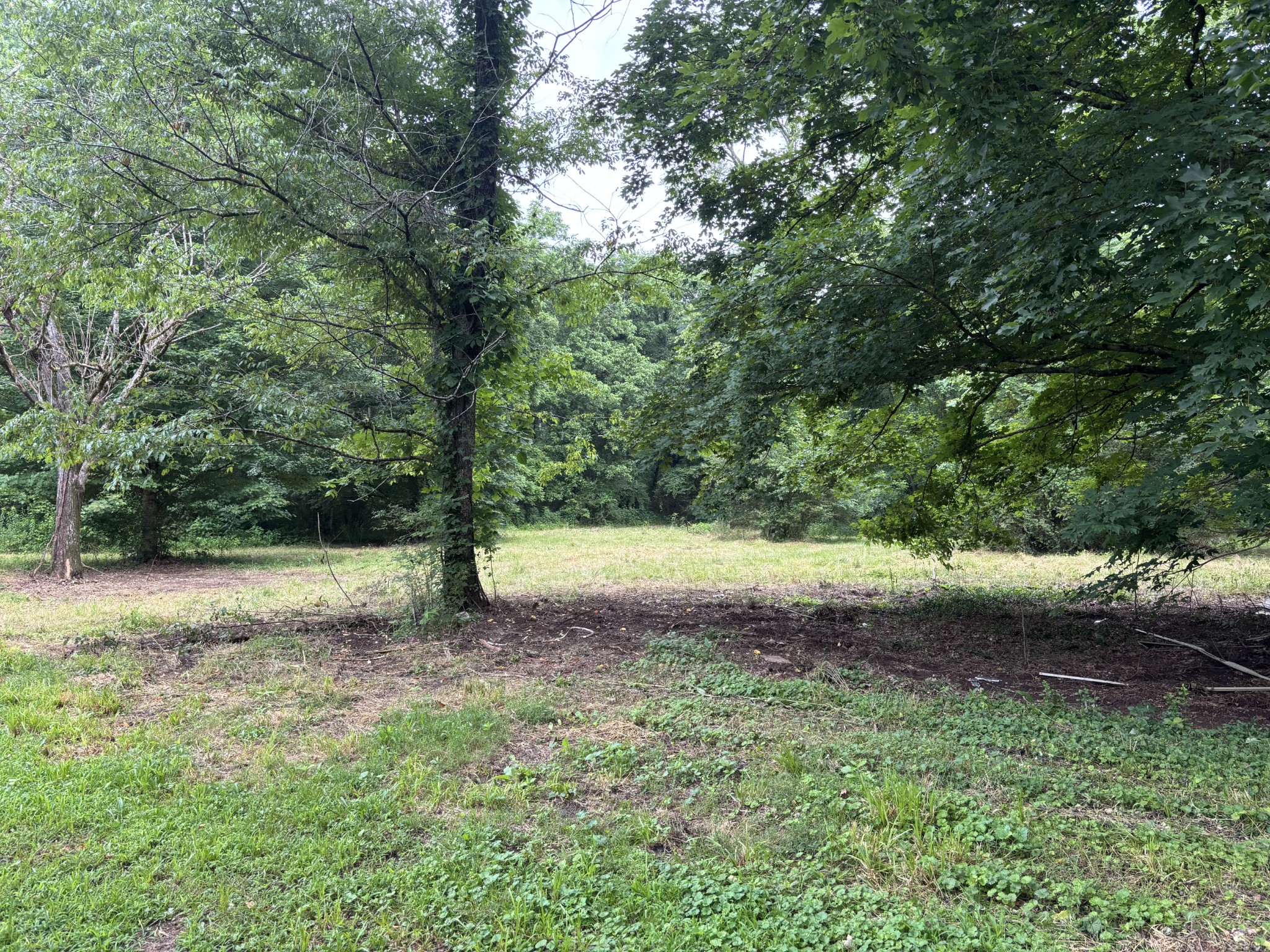502 Twomey Road Centerville, TN 37033 - Photo 39 of 42 a view of backyard with green space