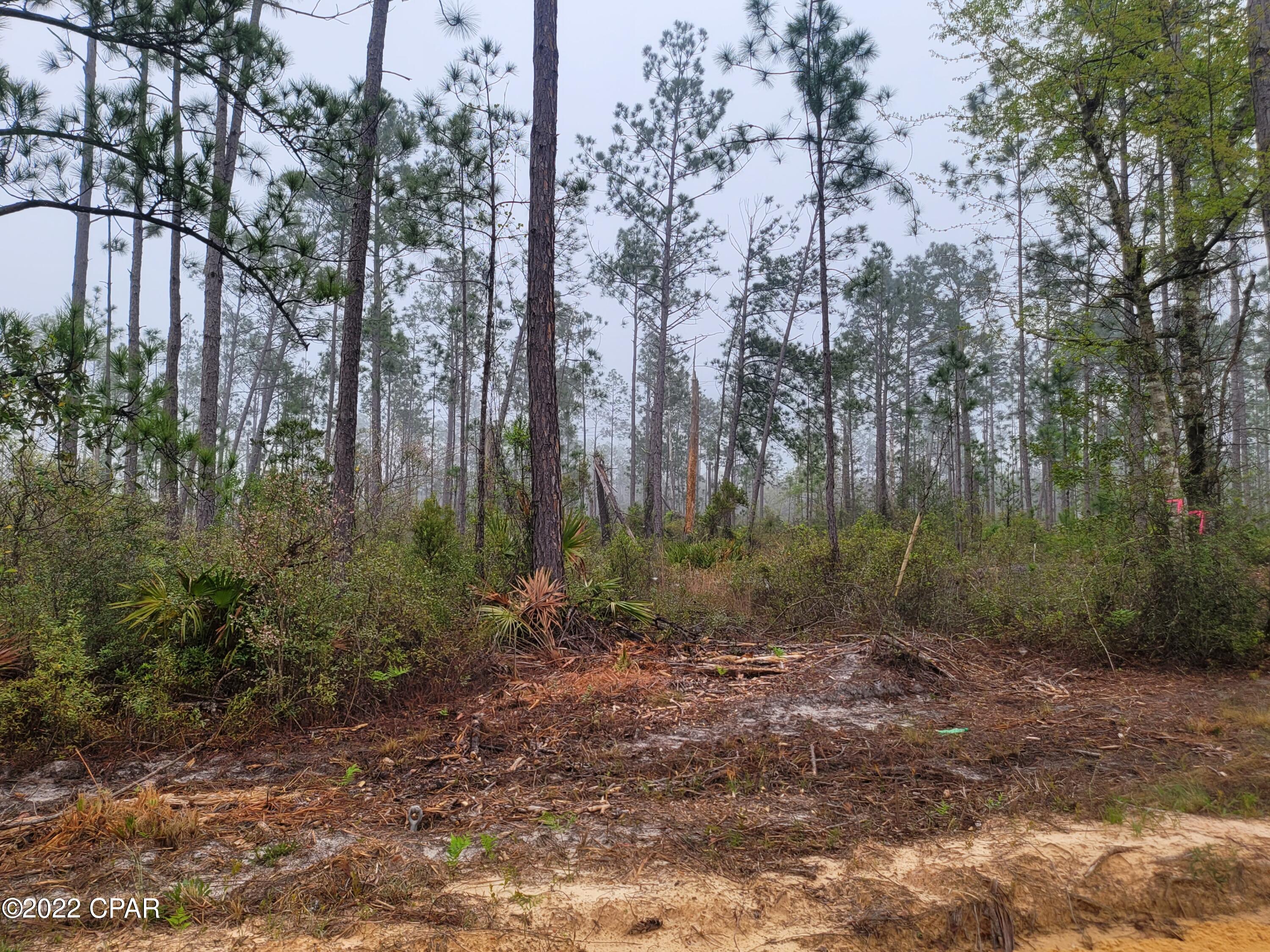 19978 Dickerson Road Fountain, FL 32438 - Photo 1 of 6 Gallery Image 1