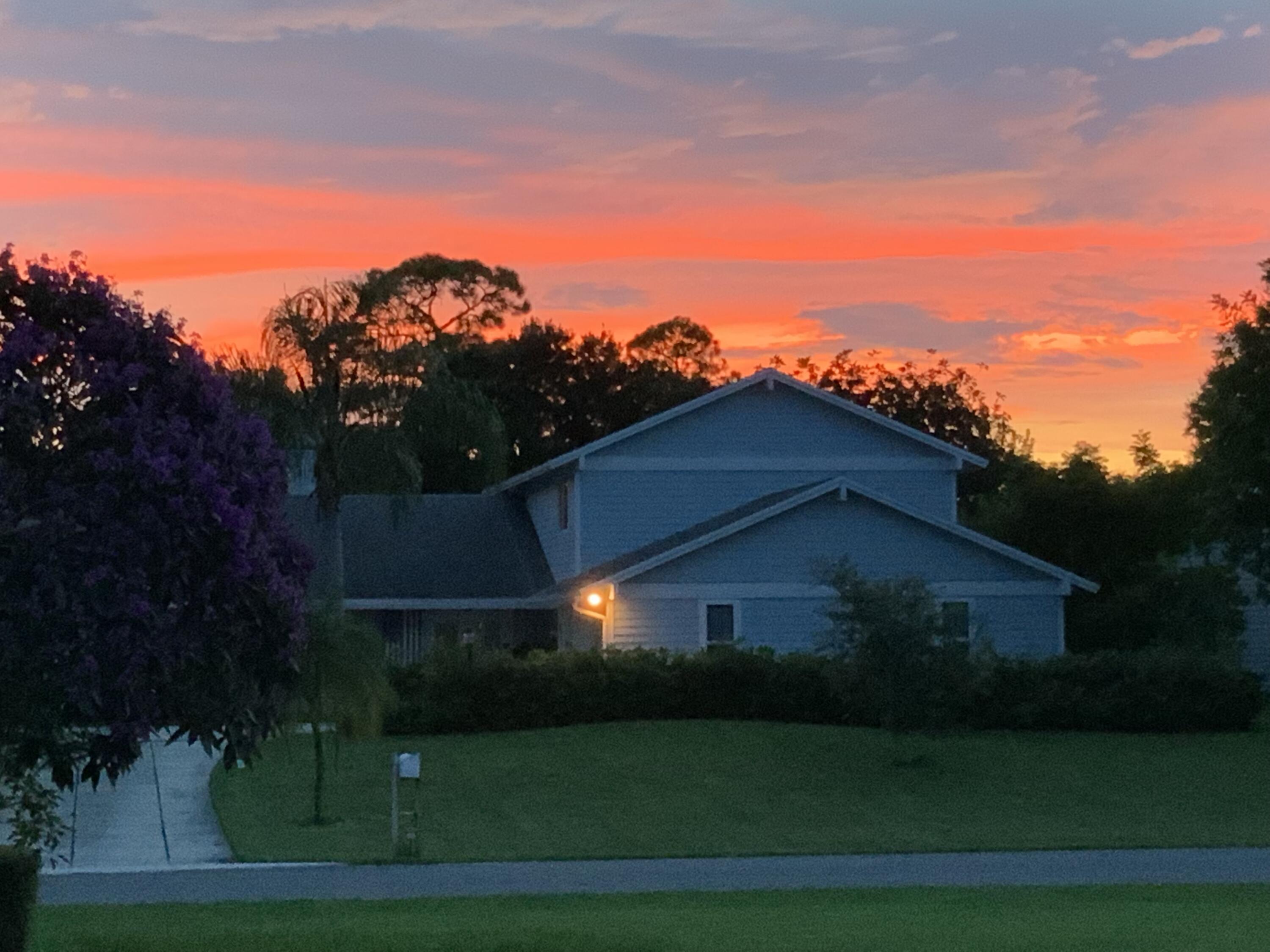 6595 Wood Lake Road Jupiter, FL 33458 - Photo 3 of 54 a view of yard in front of house with trees