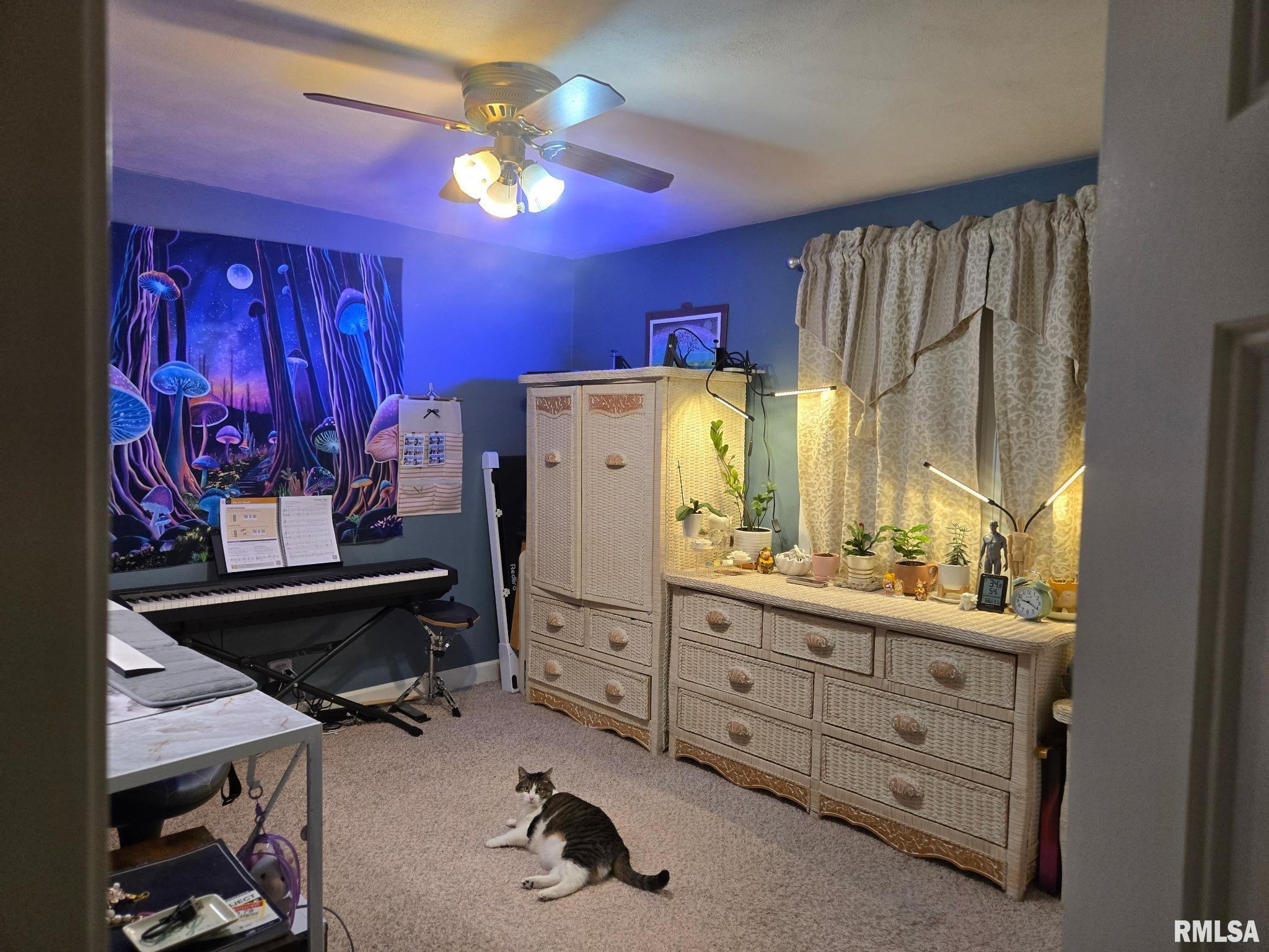 815 Morris Street Washington, IL 61571 - Photo 10 of 17