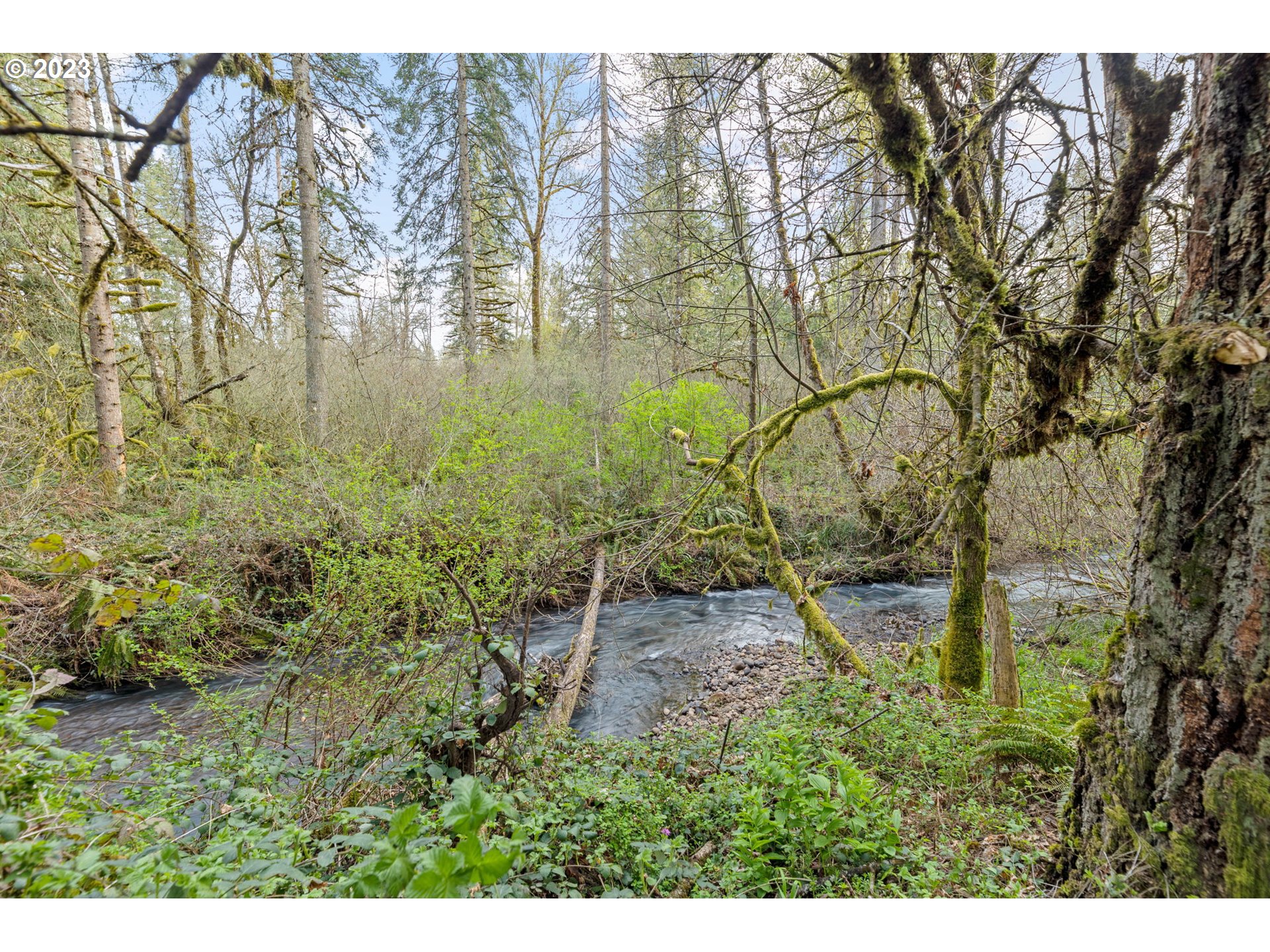31497 South Grimm Road Molalla, OR 97038 - Photo 23 of 28 Gallery Image 23