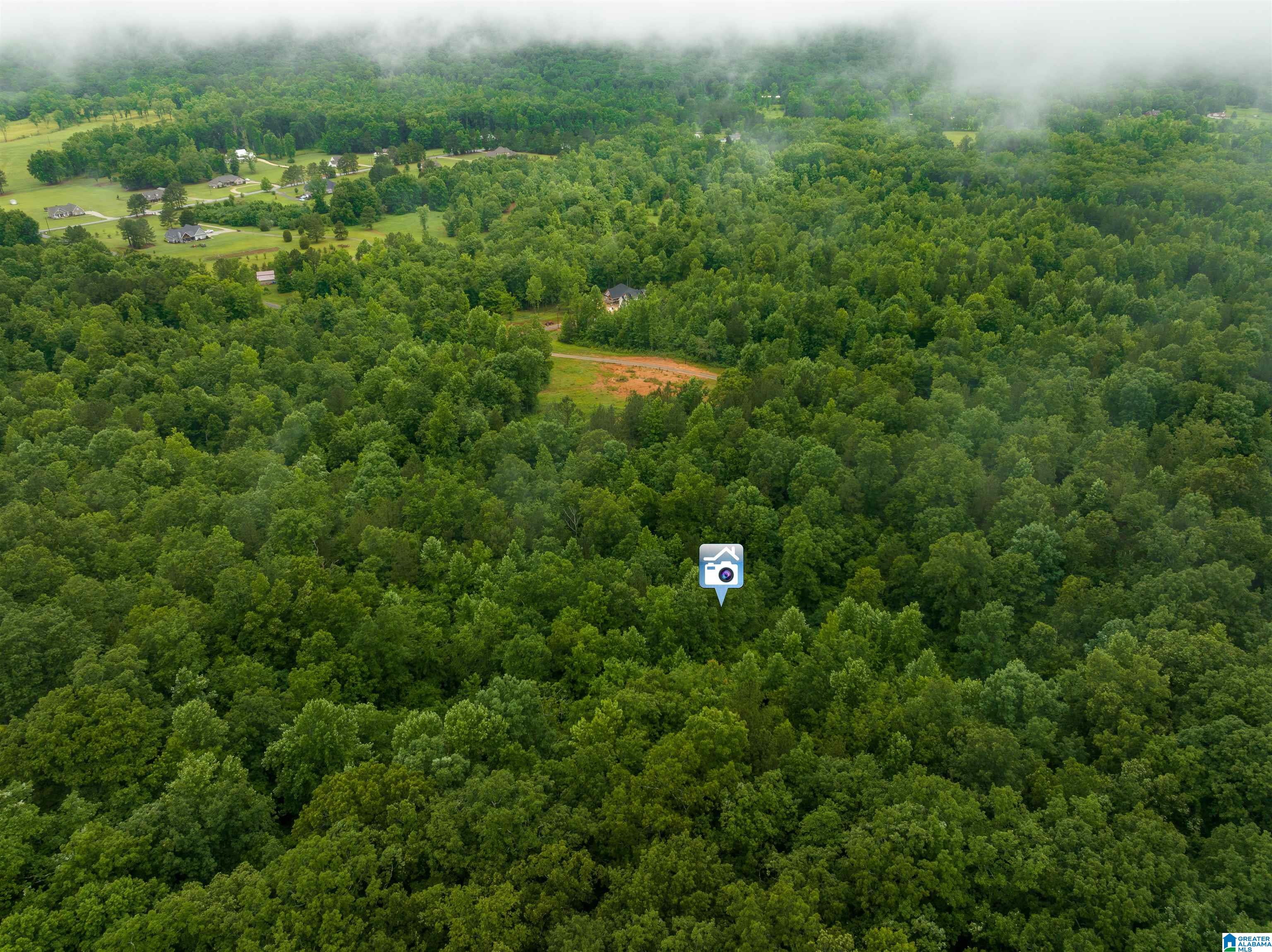 0 Crawford Cove Road Springville, AL 35146 - Photo 9 of 11