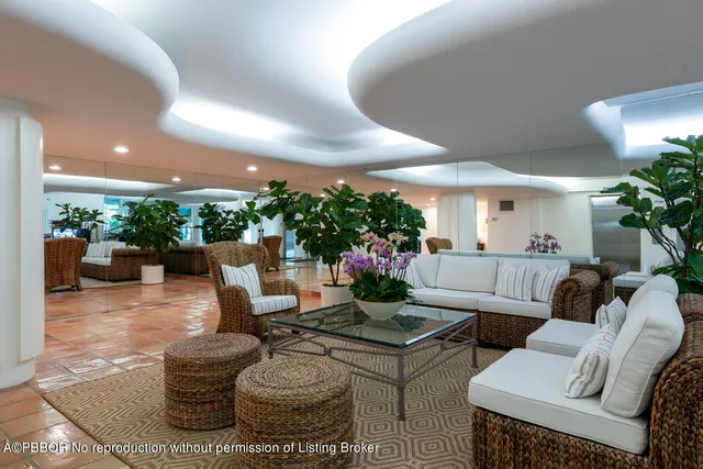 a living room with furniture a potted plant and a large window