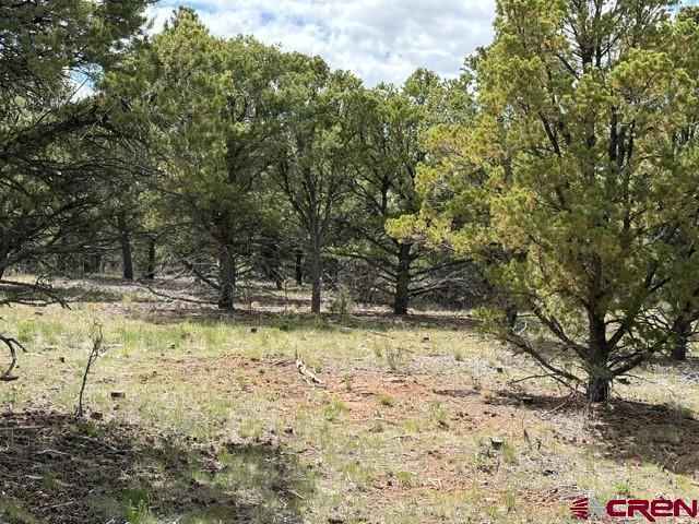 Lot 4 Tower Road Ridgway, CO 81432 - Photo 8 of 14