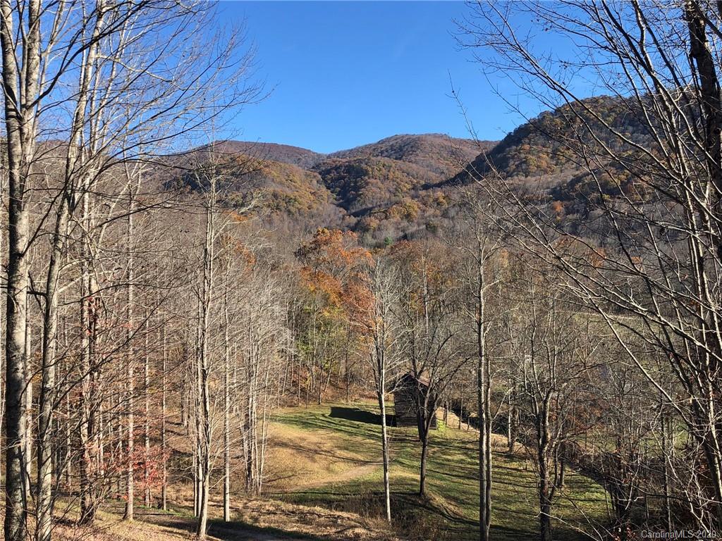 Tbd Betsy's Gap Road Clyde, NC 28721 - Photo 2 of 34