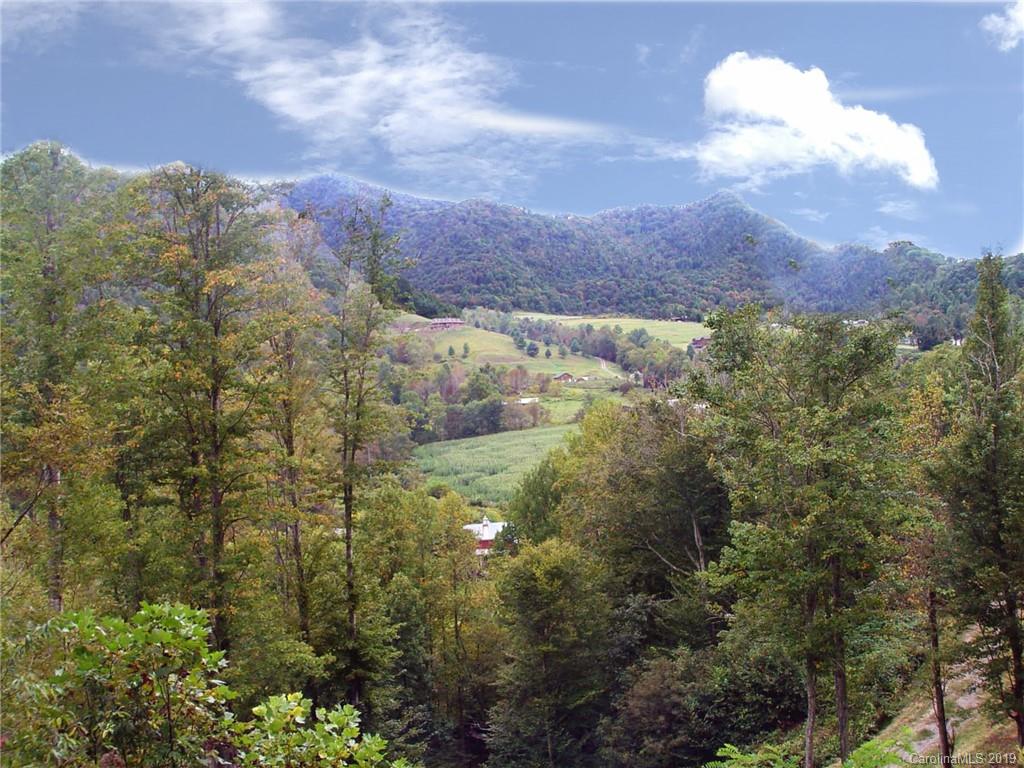 Tbd Betsy's Gap Road Clyde, NC 28721 - Photo 4 of 34