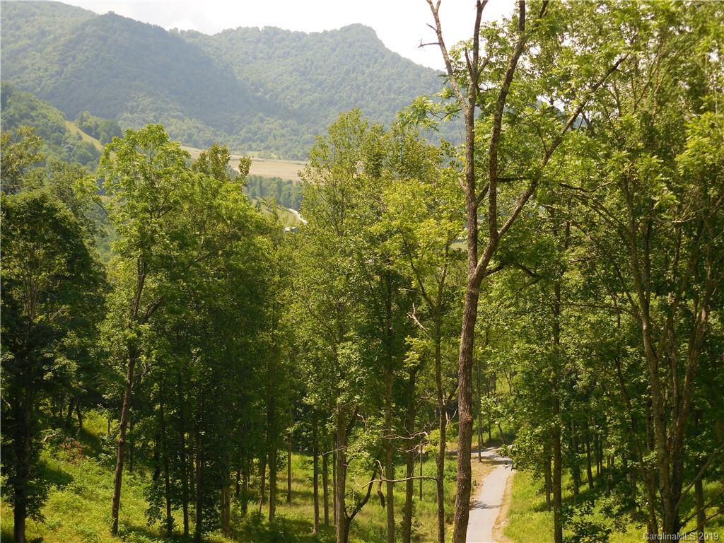 Tbd Betsy's Gap Road Clyde, NC 28721 - Photo 10 of 34