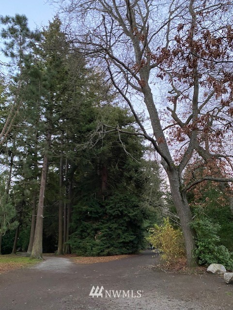 8415 34th Avenue Southwest Seattle, WA 98126 - Photo 22 of 24