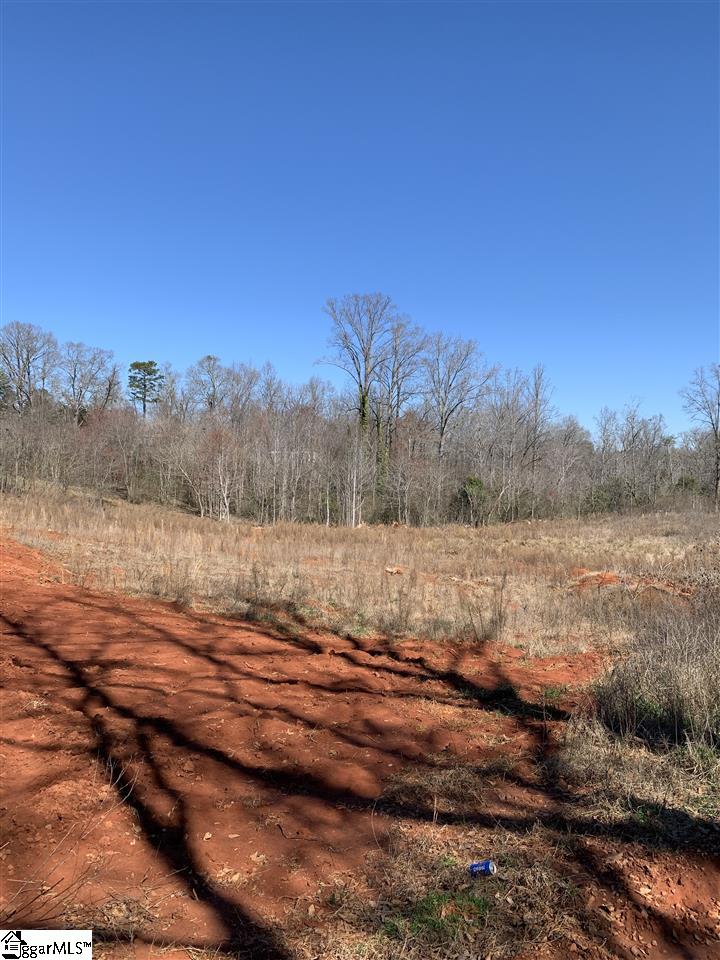 0 Pruitt Road Wellford, SC 29385 - Photo 1 of 2 Gallery Image 1