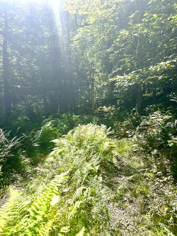 $299,900 | 826 Bousquet Road, Lowell, VT 05847