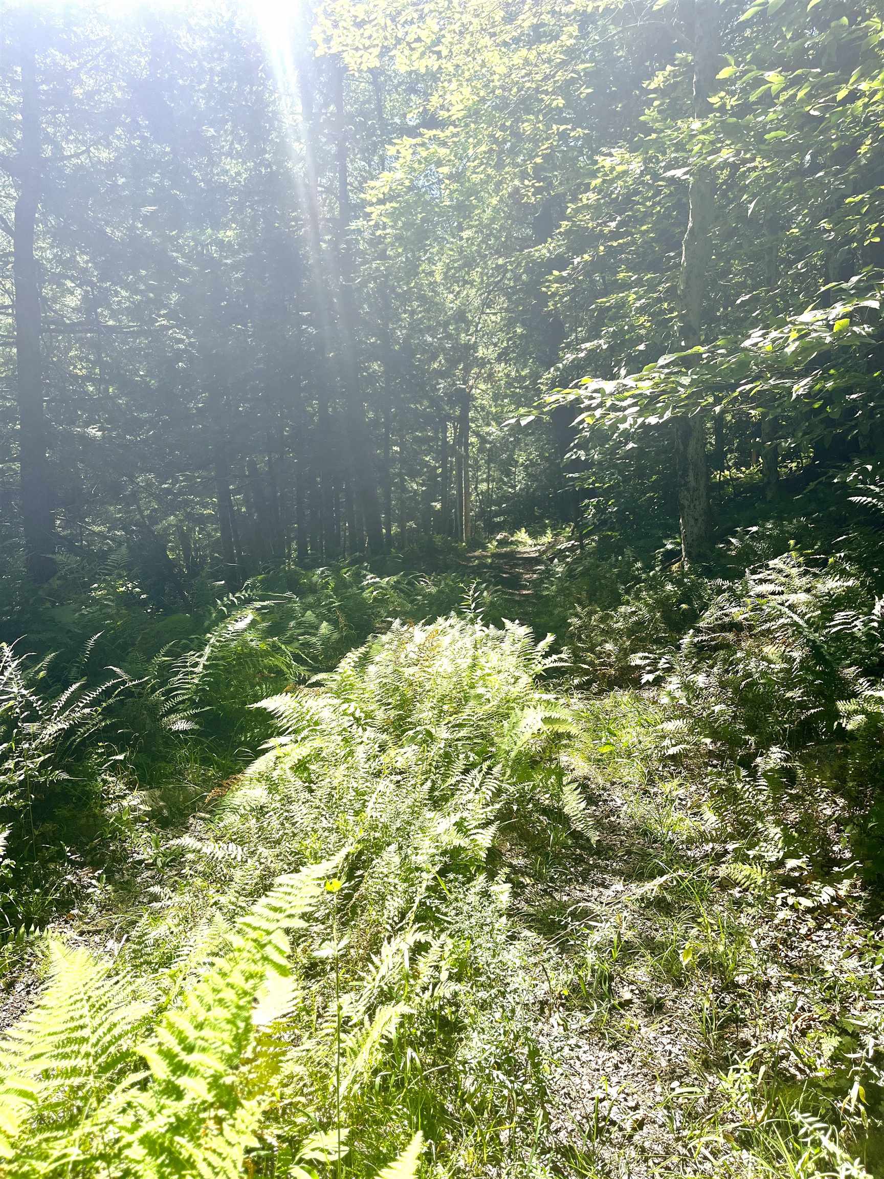 826 Bousquet Road Lowell, VT 05847 - Photo 40 of 57