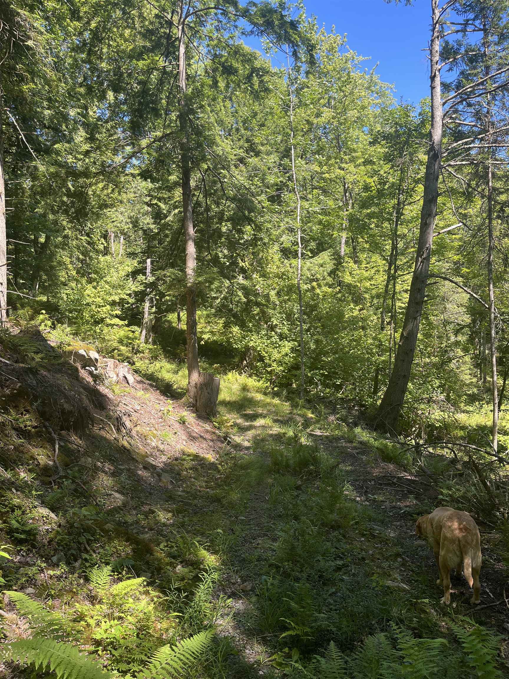 826 Bousquet Road Lowell, VT 05847 - Photo 41 of 57