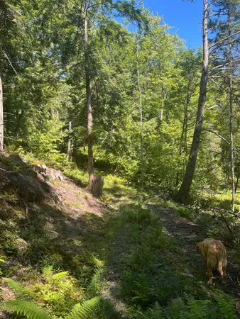 $250,000 | 826 Bousquet Road, Lowell, VT 05847