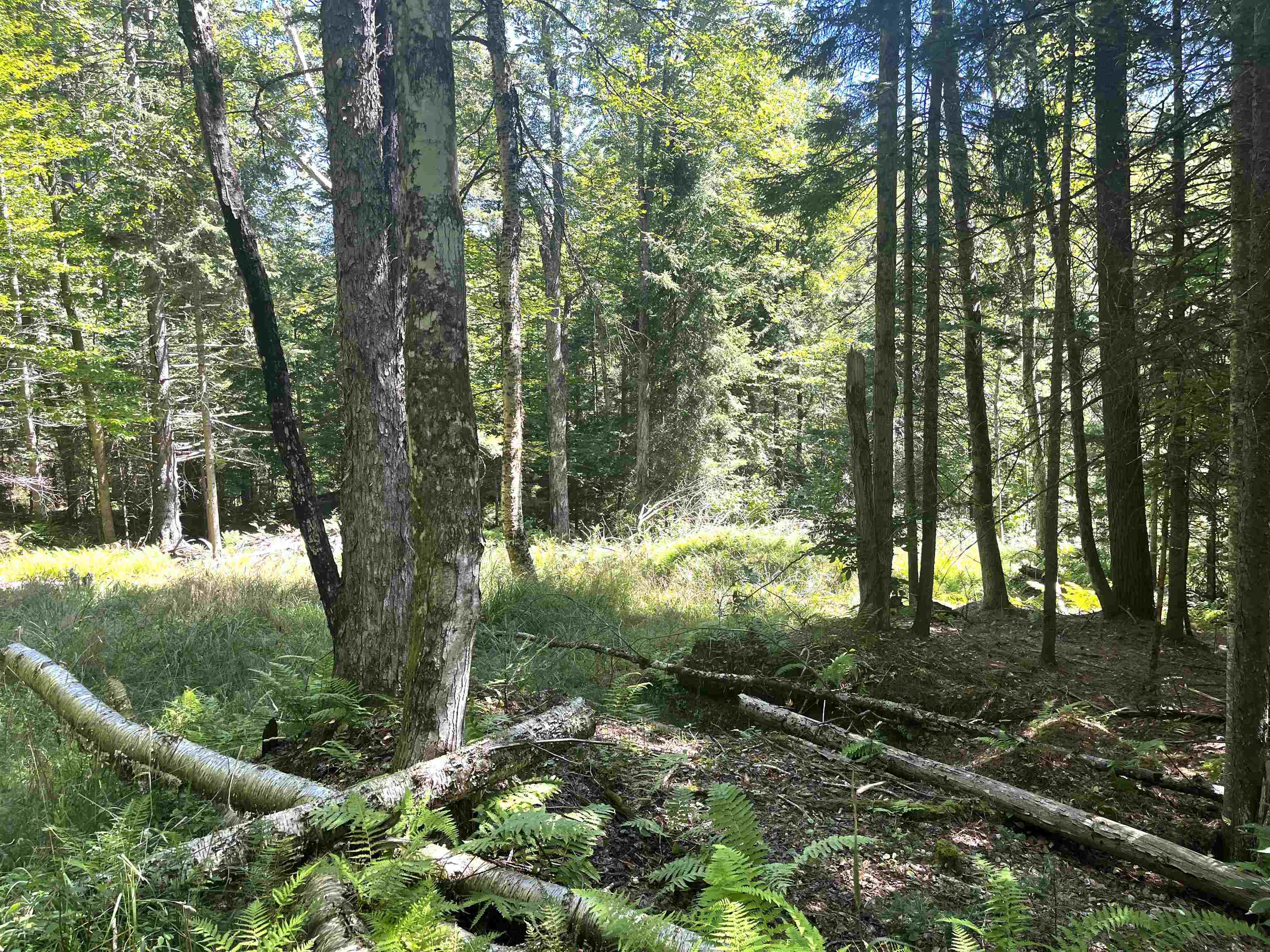 826 Bousquet Road Lowell, VT 05847 - Photo 43 of 57