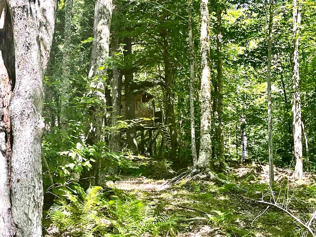 $299,900 | 826 Bousquet Road, Lowell, VT 05847