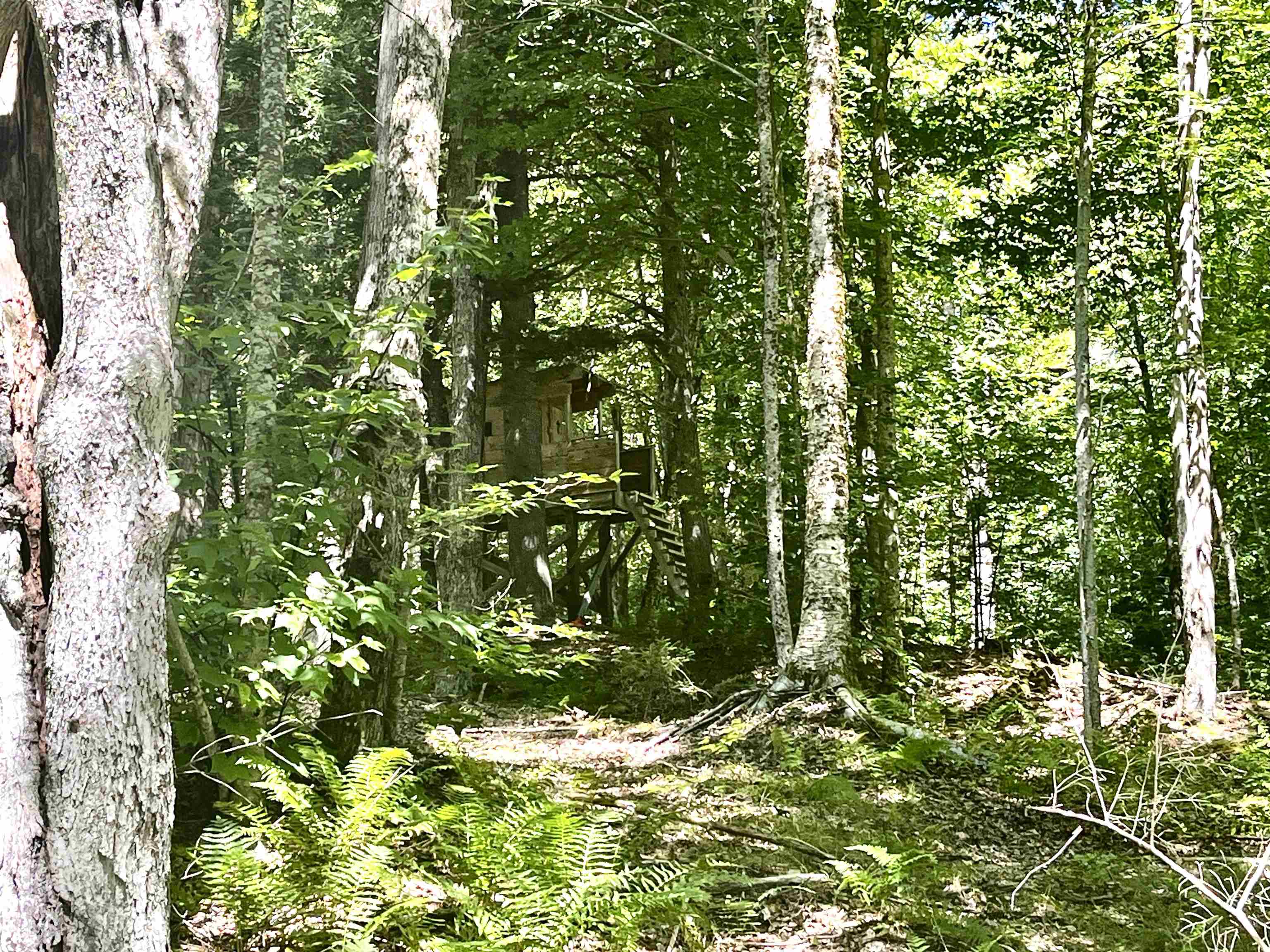 826 Bousquet Road Lowell, VT 05847 - Photo 44 of 57