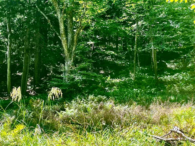 $299,900 | 826 Bousquet Road, Lowell, VT 05847