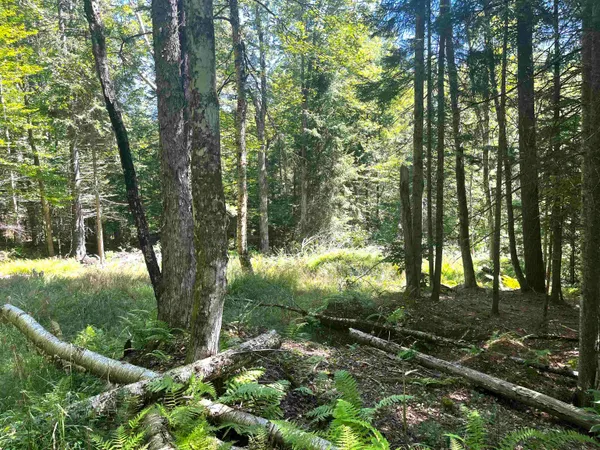 $250,000 | 826 Bousquet Road, Lowell, VT 05847
