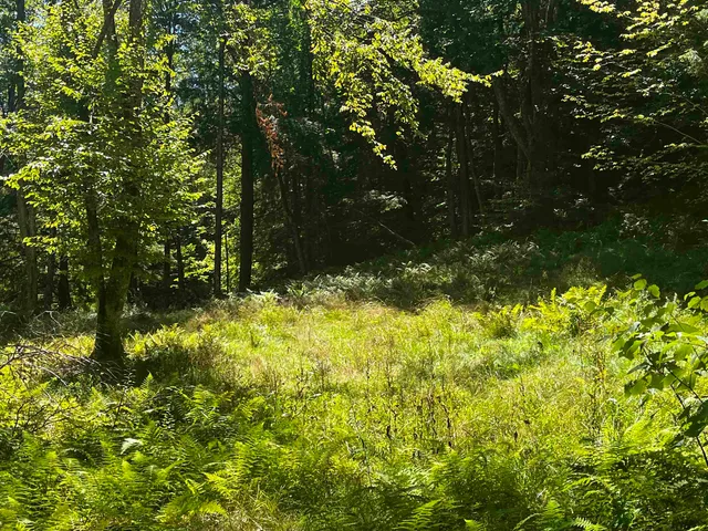 $299,900 | 826 Bousquet Road, Lowell, VT 05847