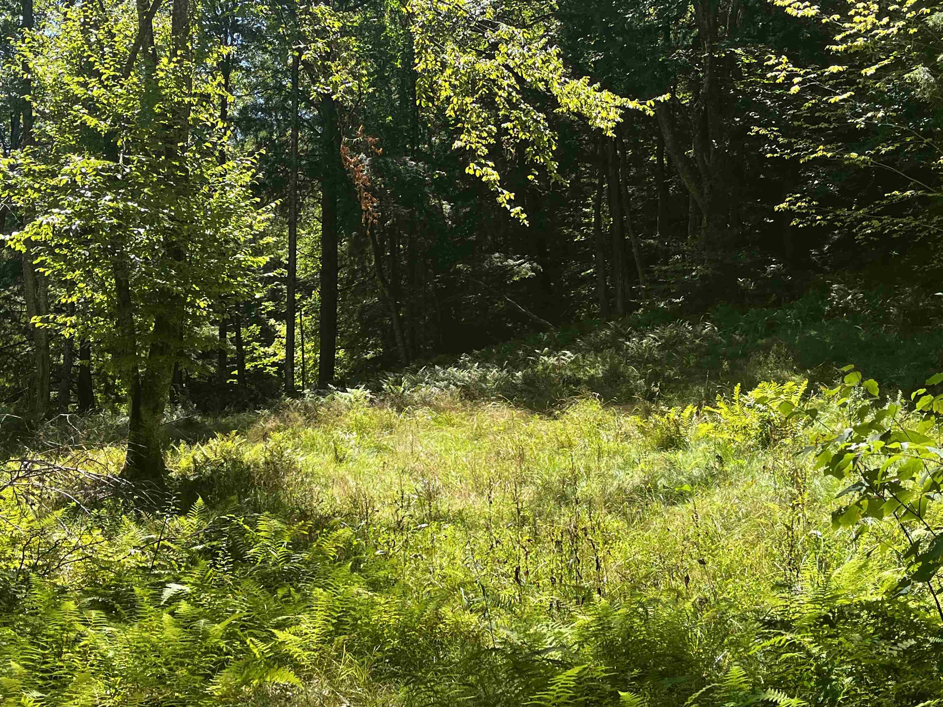 826 Bousquet Road Lowell, VT 05847 - Photo 46 of 57